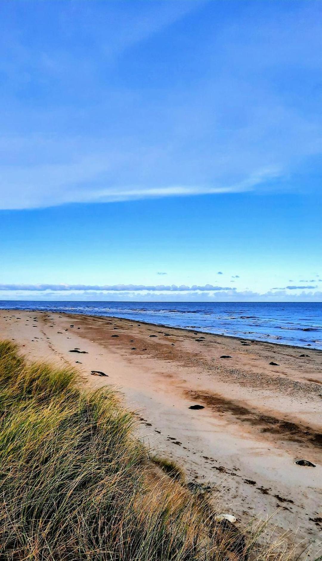 Regency Guest House Neatishead Esterno foto